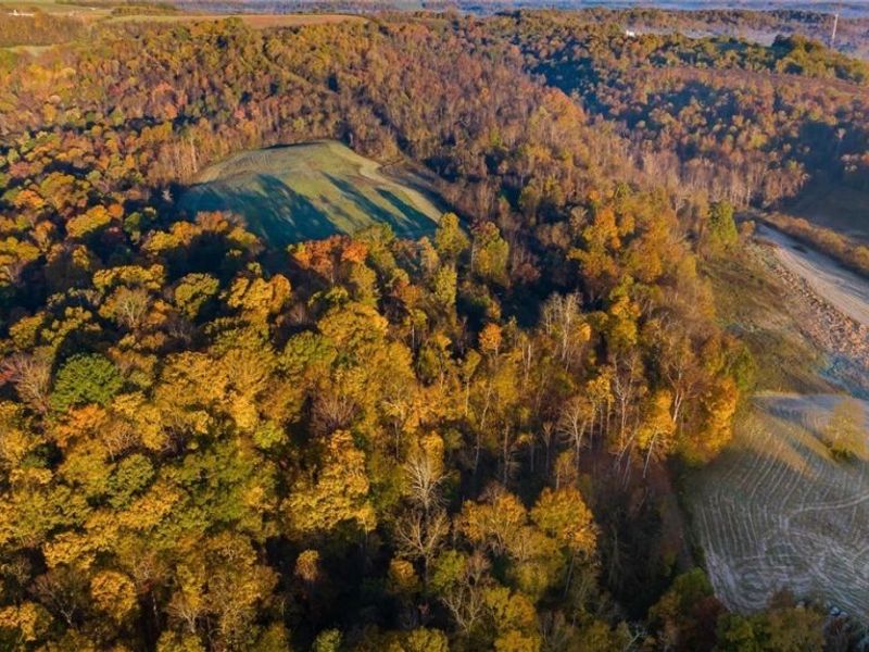 Waymor Road, Quaker City, OH 43773 Photo 8