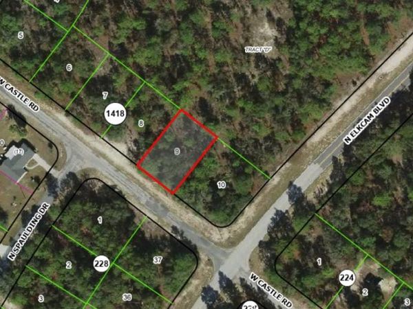 2715 W CASTLE ROAD , CITRUS SPRINGS, FL 34433