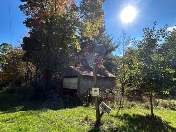 371 Lulu Coon Road, Unadilla, NY 13849