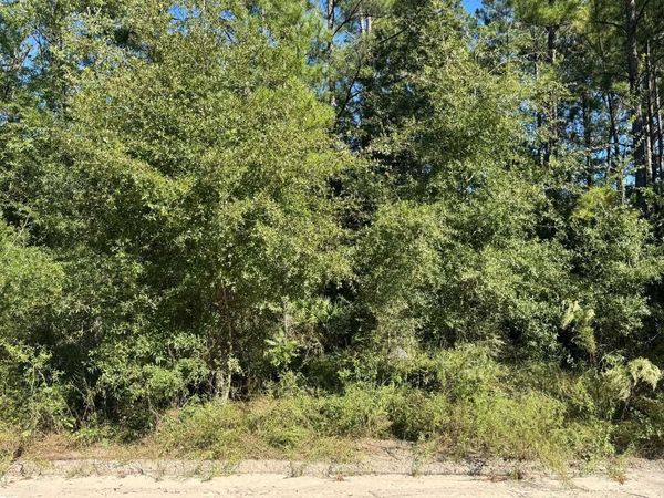 000 177TH COURT, Live Oak, FL 32060