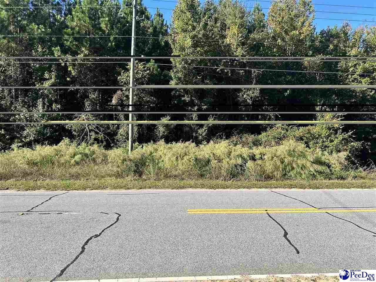 Tbd Lot 1 New Market Rd Photo 5