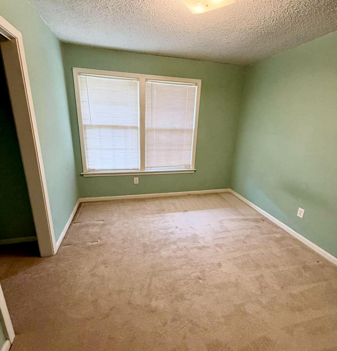 135 Parkwood Drive Photo 16
