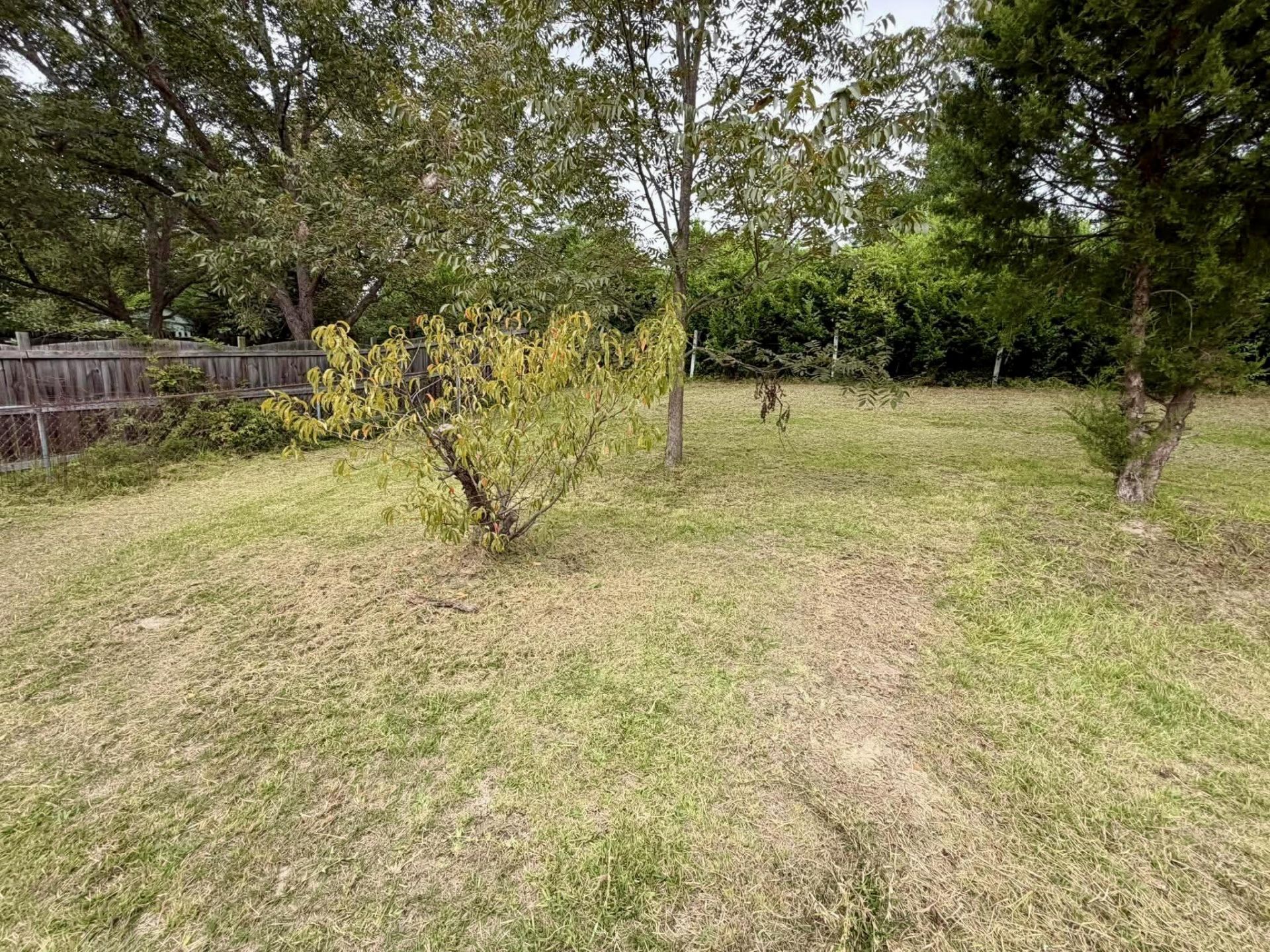 135 Parkwood Drive Photo 8