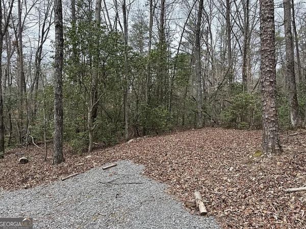 0 Roy Road, Ellijay, GA 30536