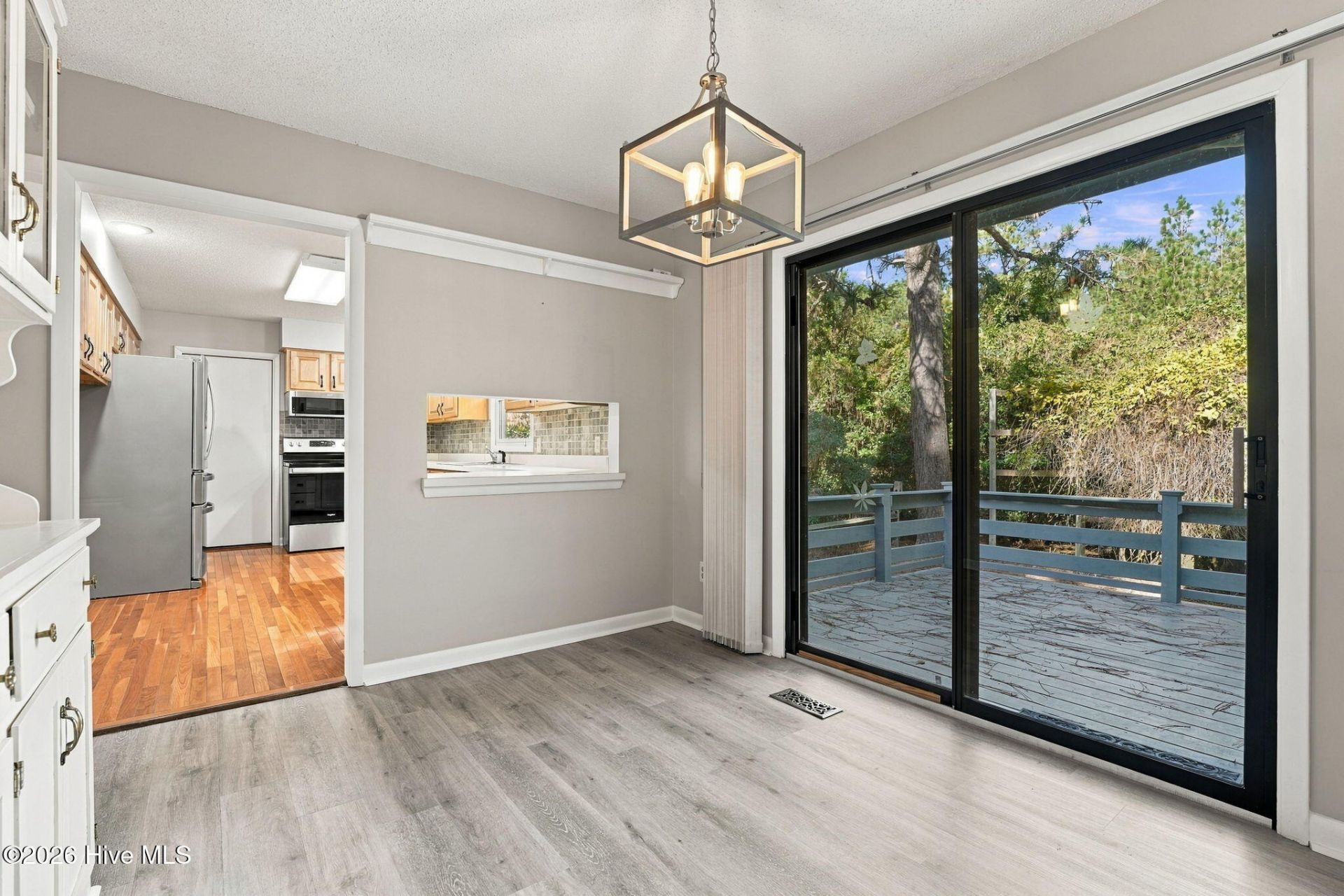 101 Swan Run Court  Photo 22