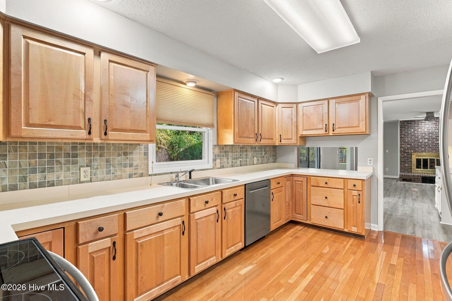 101 Swan Run Court  Photo 28