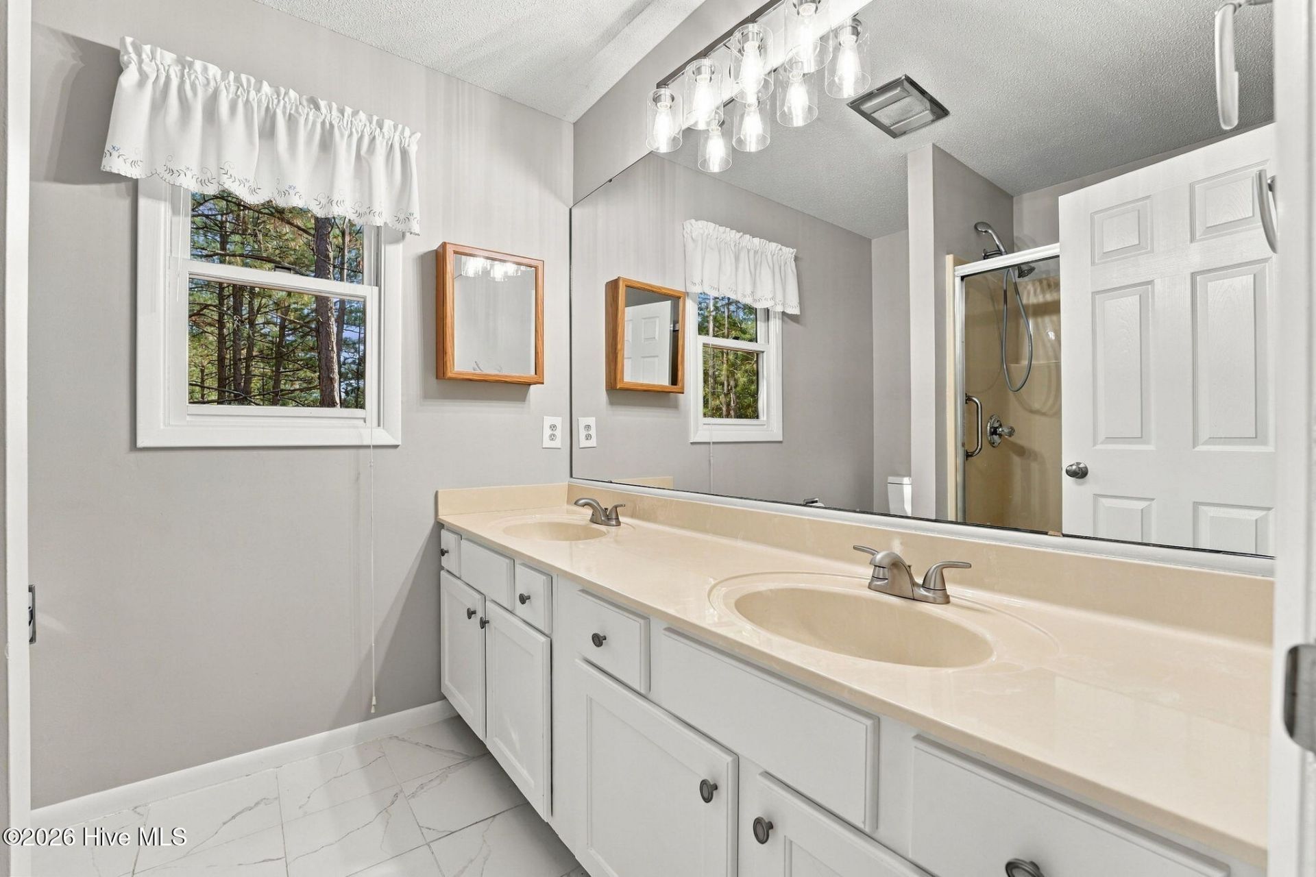 101 Swan Run Court  Photo 34
