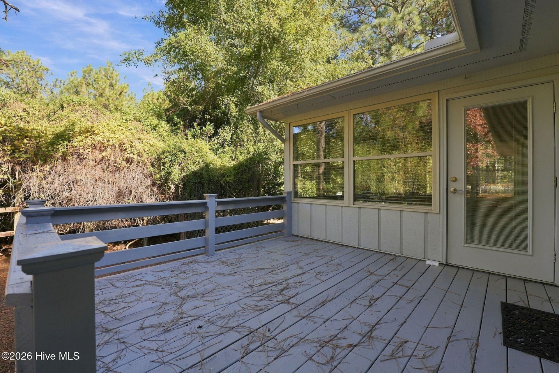 101 Swan Run Court  Photo 50