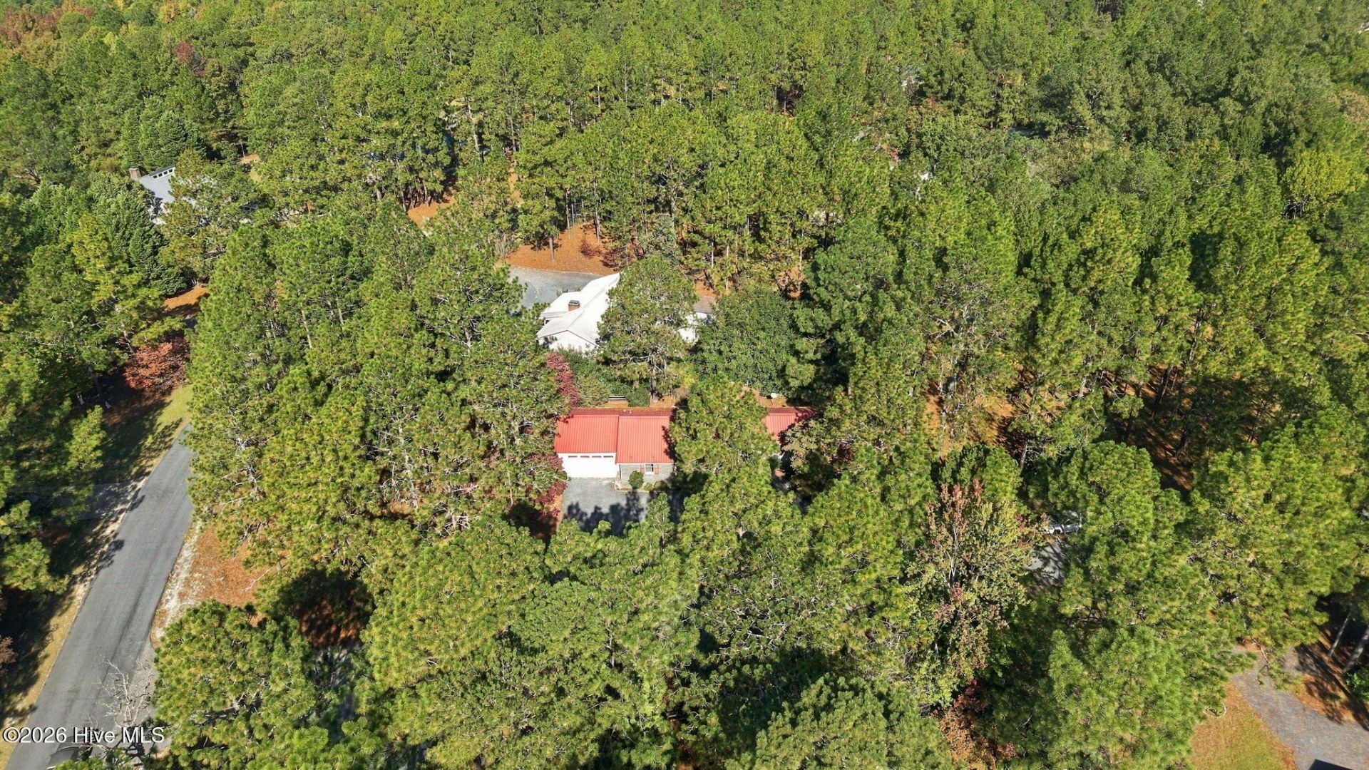 101 Swan Run Court  Photo 7