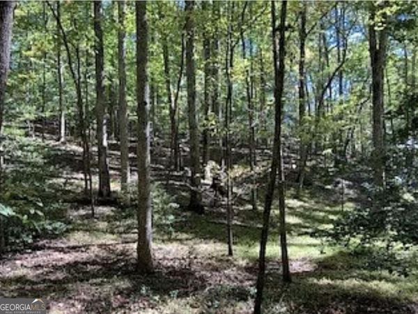 0 Goldmine Drive, Ellijay, GA 30536
