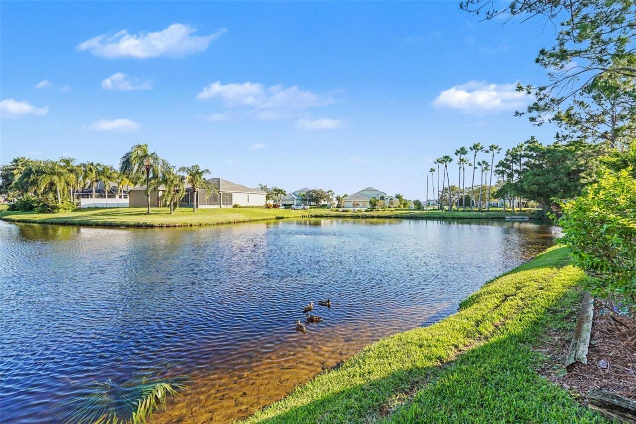 609 Vallance Way Ne, Saint Petersburg, FL 33716 Photo