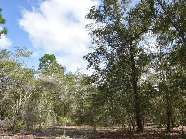 9150 SE US HIGHWAY 301 , HAWTHORNE, FL 32640