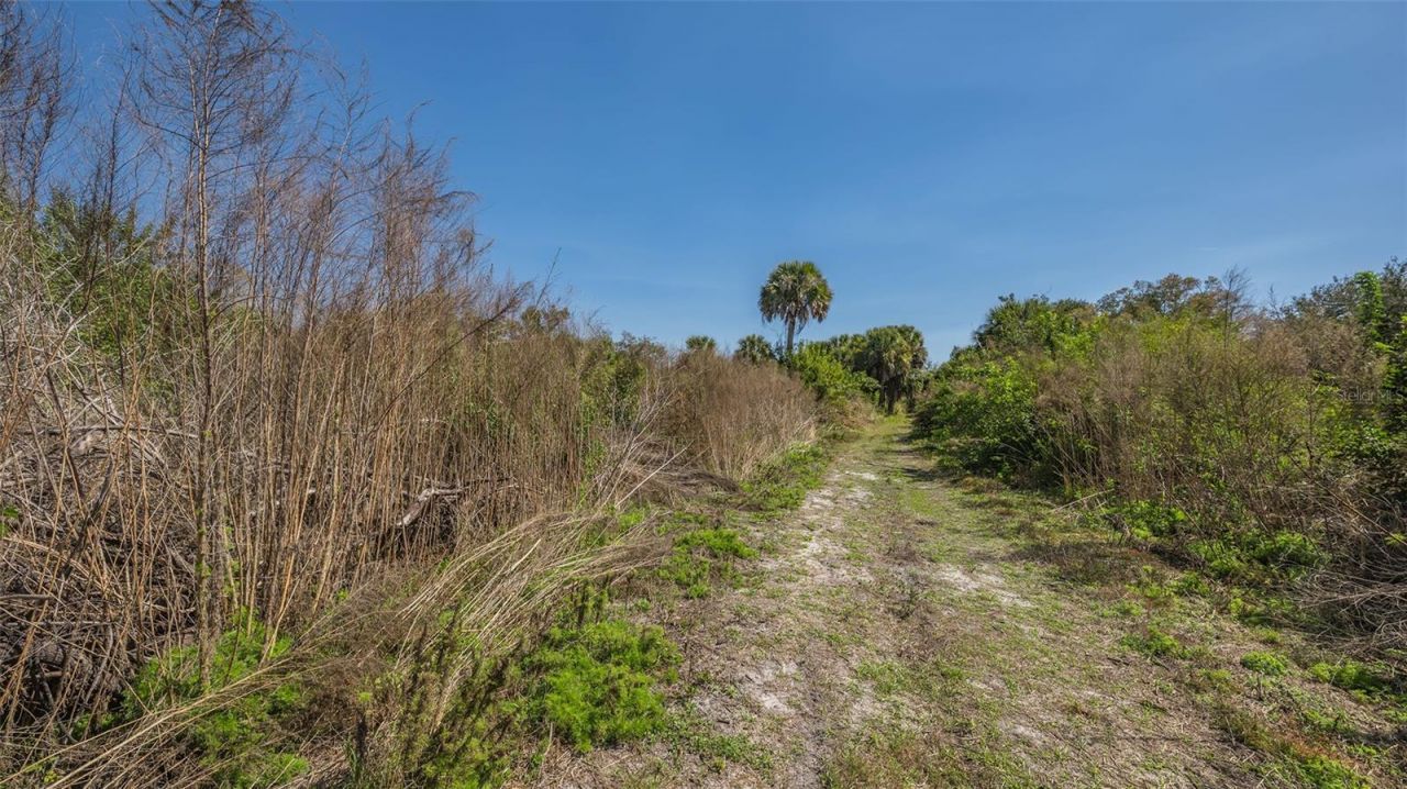 Parker Drive, Venice, FL 34292 Photo