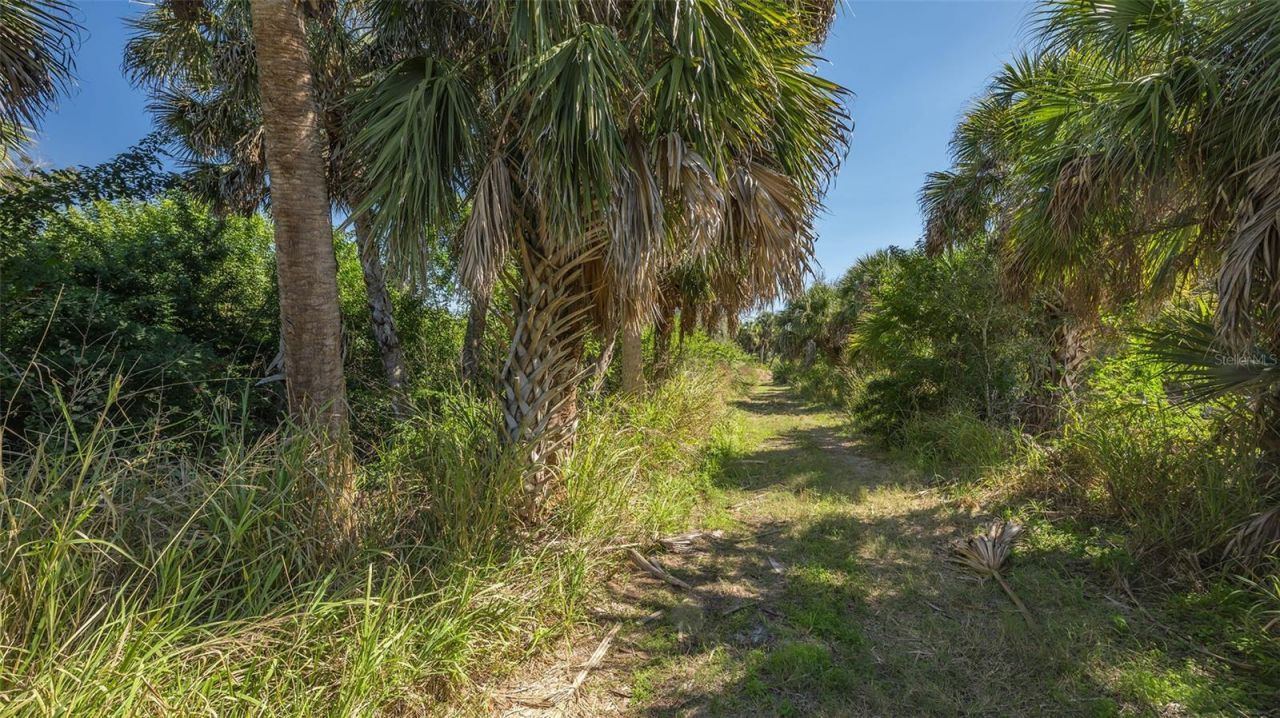 Parker Drive, Venice, FL 34292 Photo