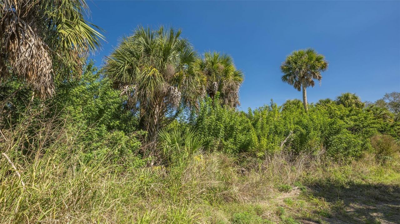 Parker Drive, Venice, FL 34292 Photo