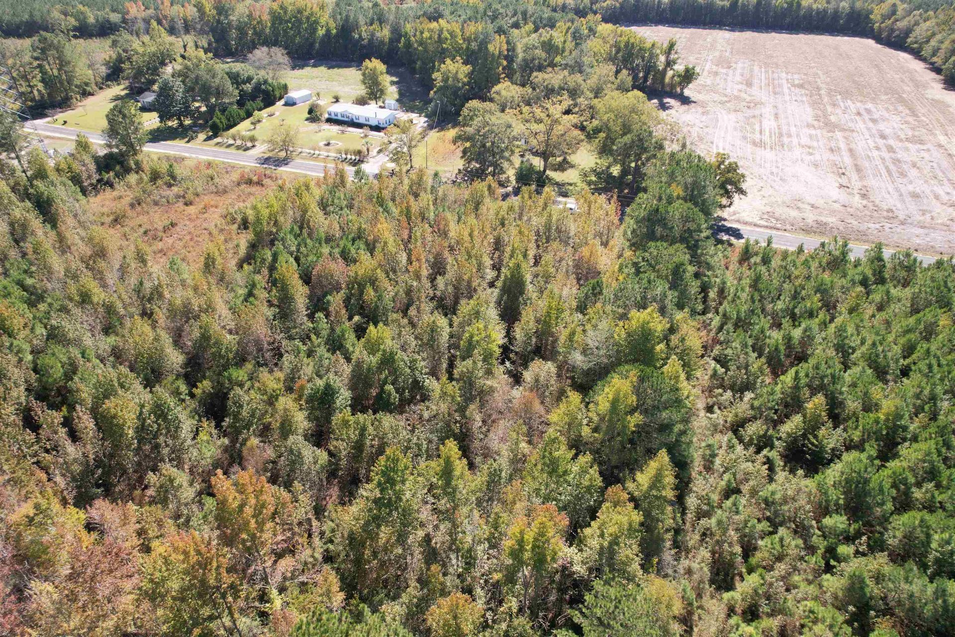 4.72 Acres - Farmington Rd  Photo 10