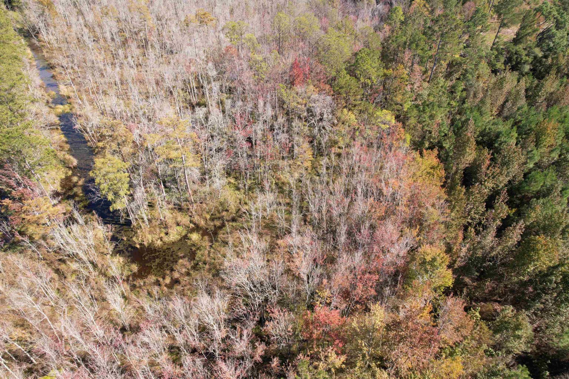4.72 Acres - Farmington Rd  Photo 11