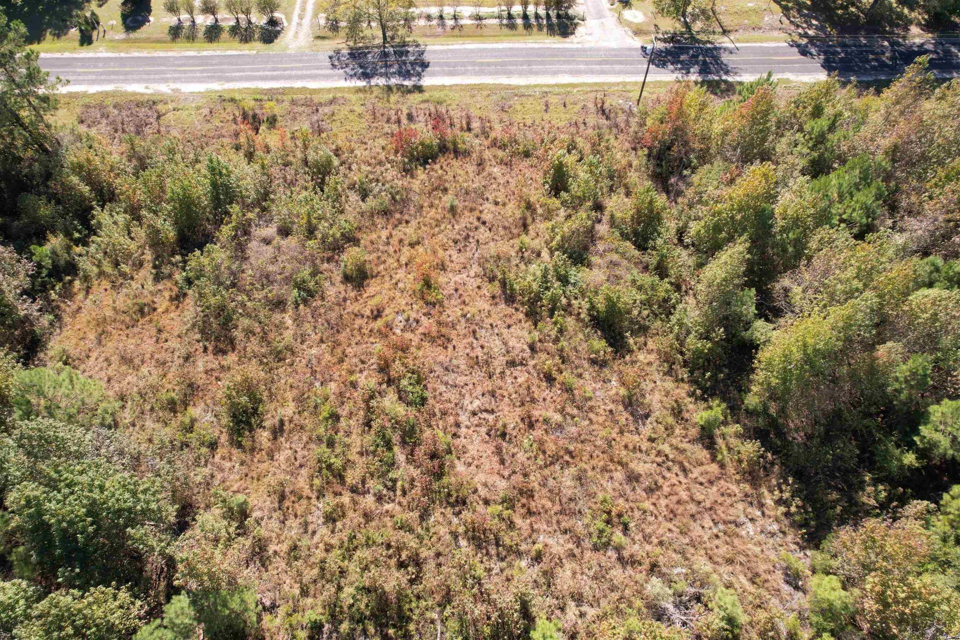 4.72 Acres - Farmington Rd  Photo 13