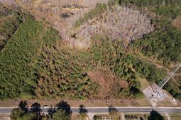 4.72 Acres - Farmington Rd  photo 4