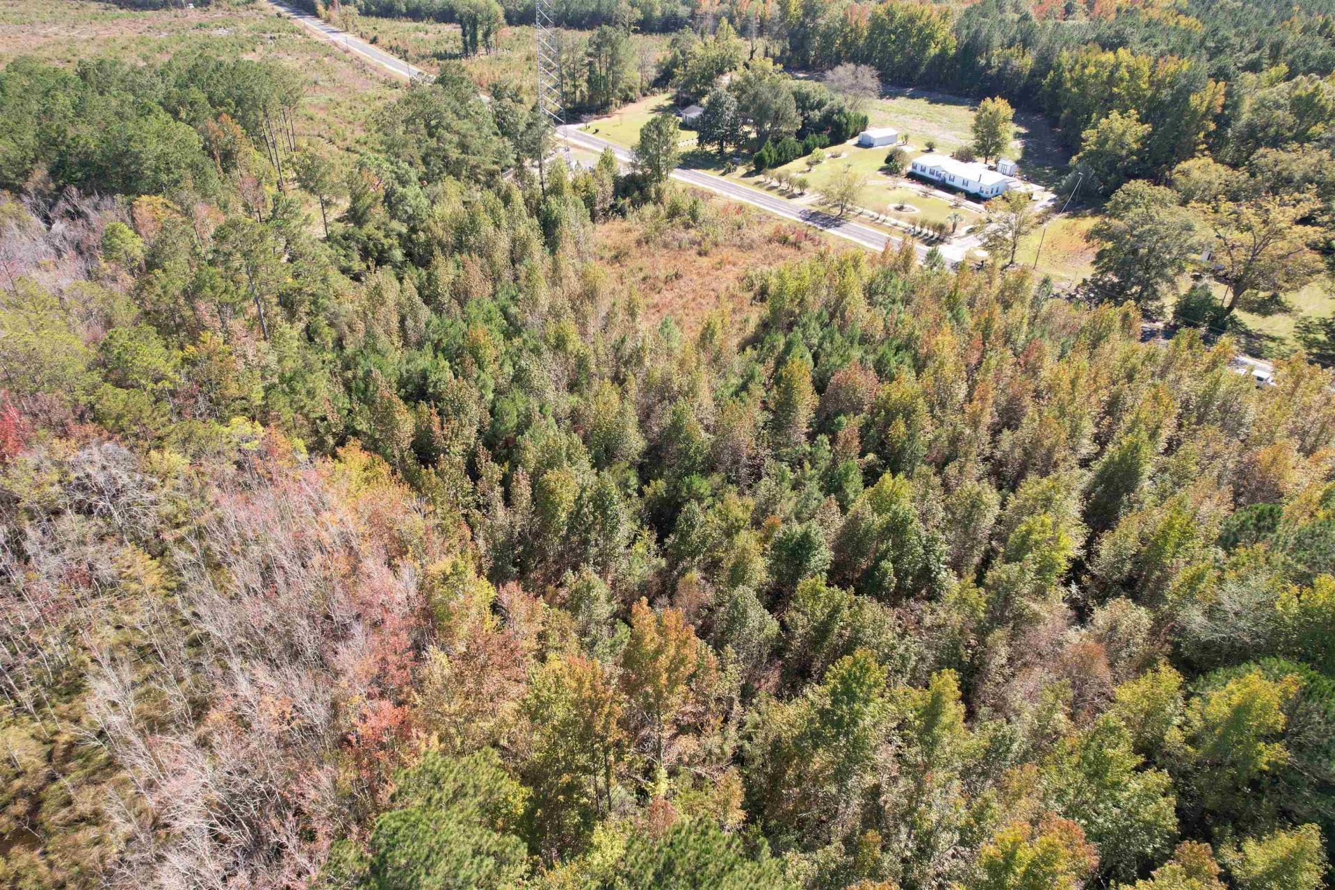 4.72 Acres - Farmington Rd  Photo 4