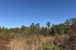 4.72 Acres - Farmington Rd  photo 4