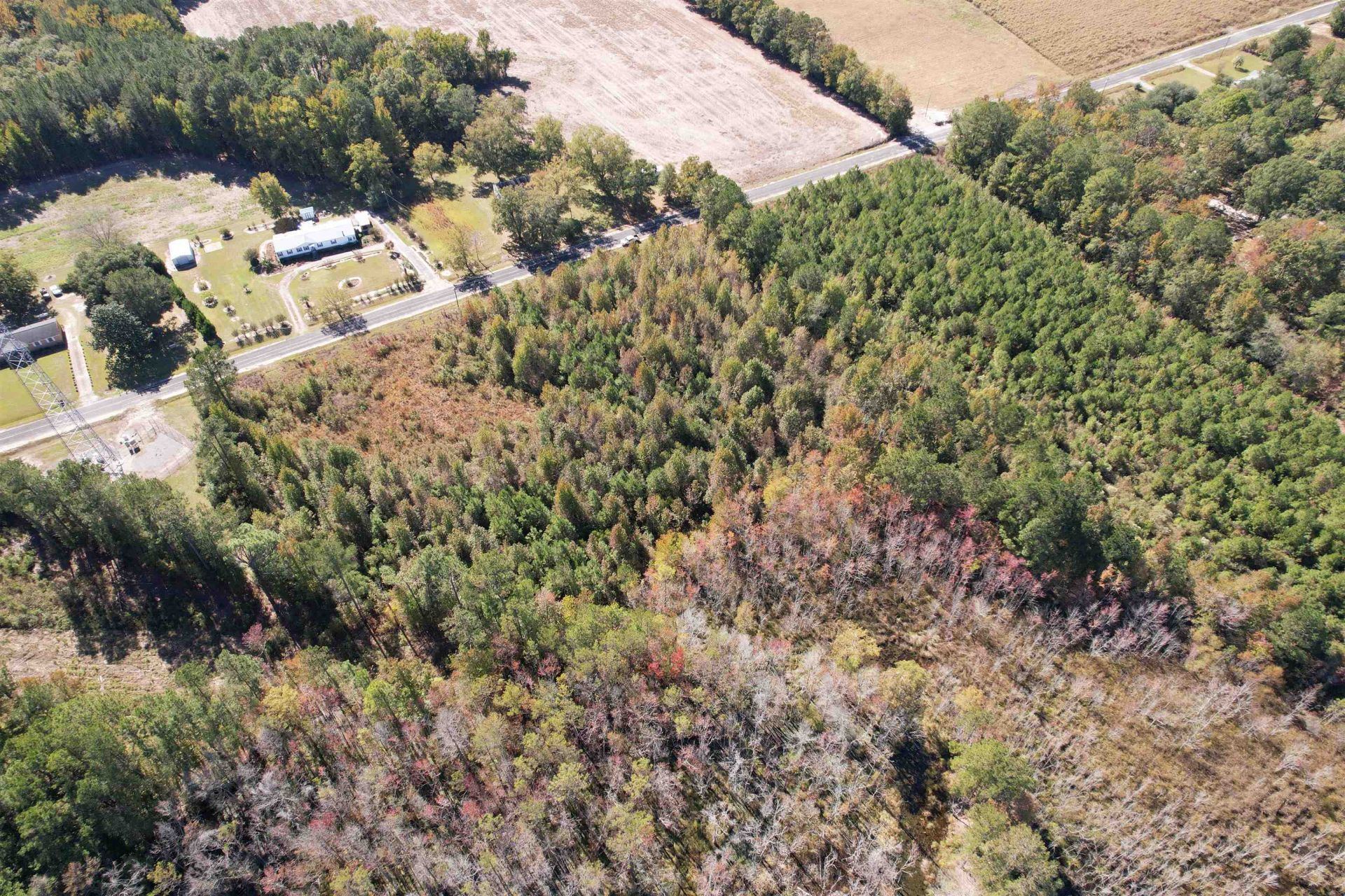 4.72 Acres - Farmington Rd  Photo 8