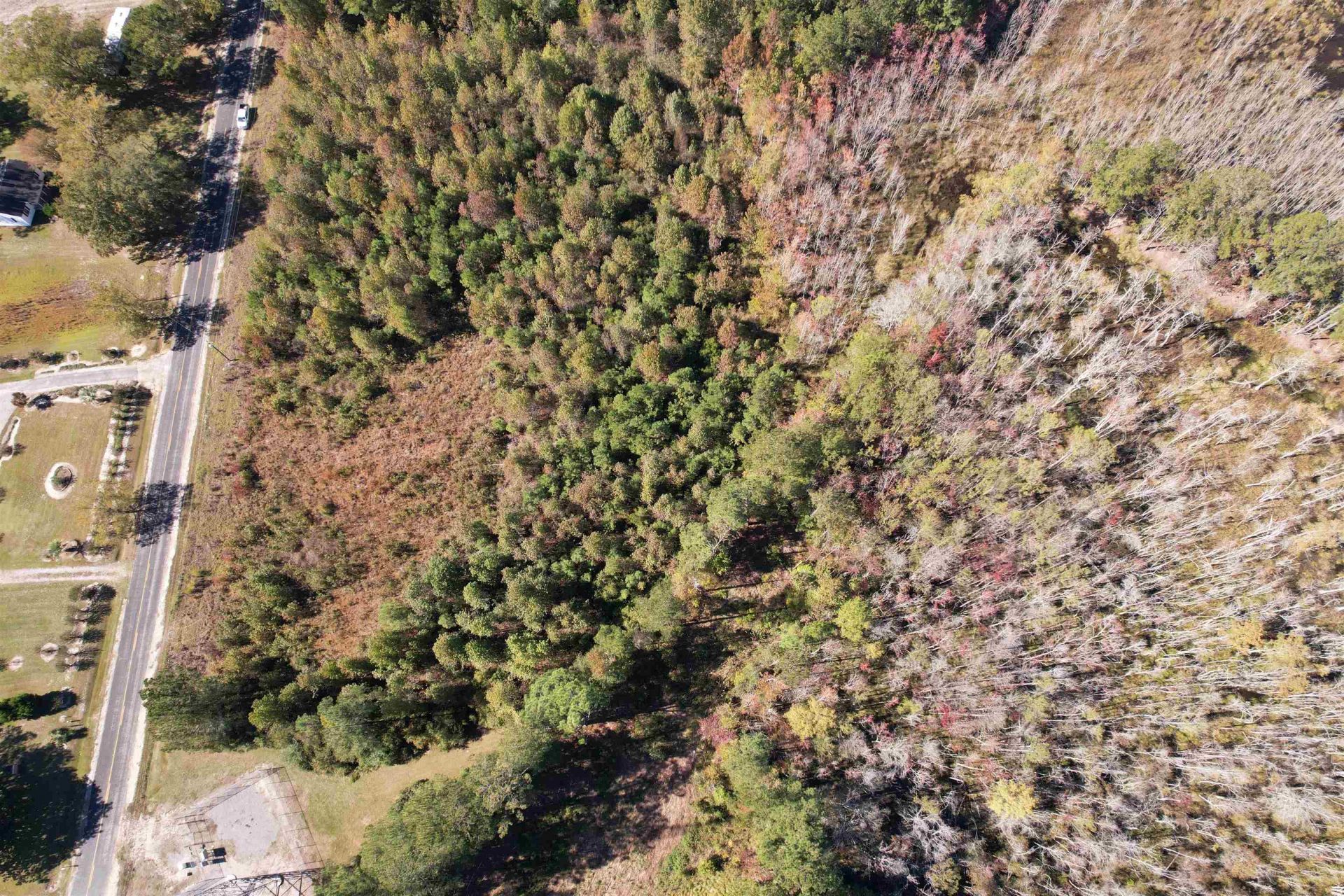 4.72 Acres - Farmington Rd  Photo 9