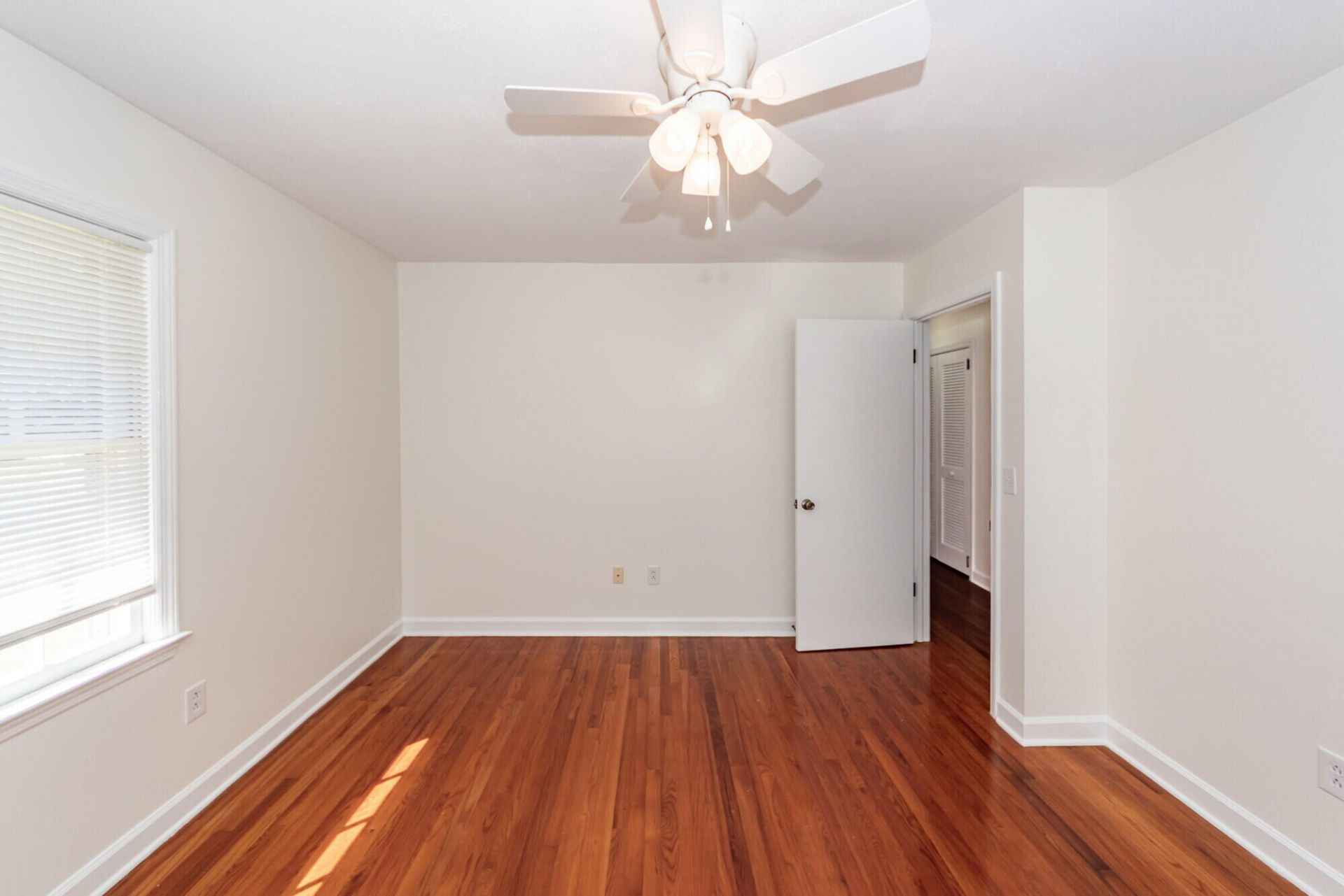 336 Betsy Road Photo 17