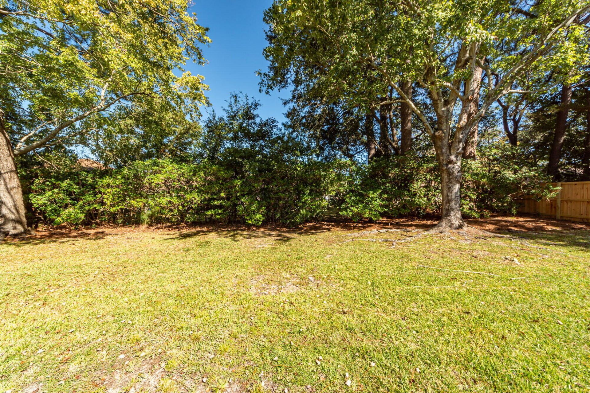 336 Betsy Road Photo 33