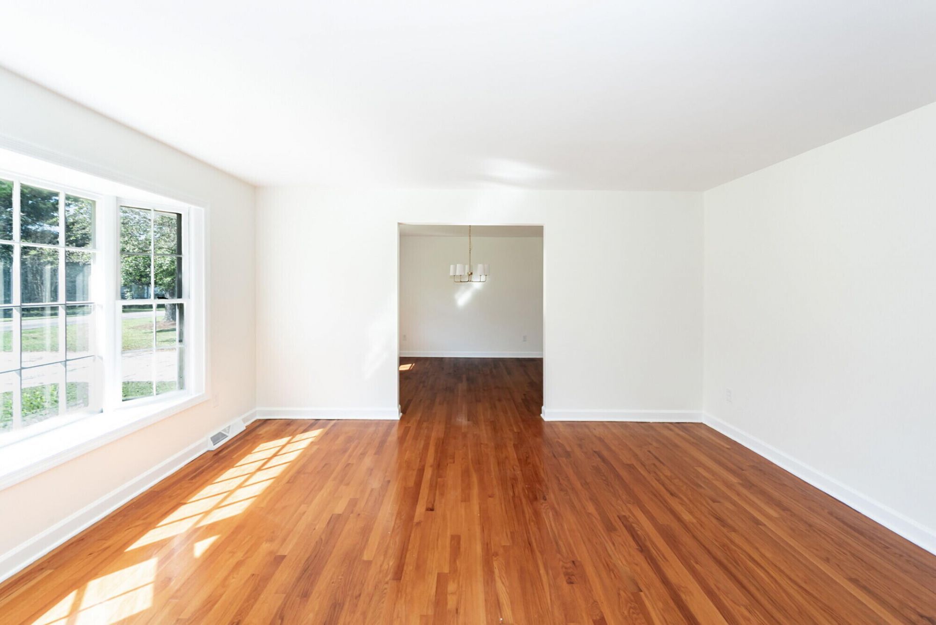 336 Betsy Road Photo 5