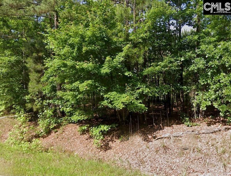 1001 Robinson Road  Photo 6
