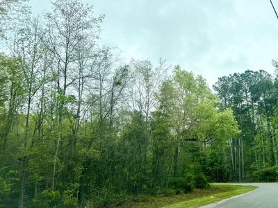 0 Glen Street, Walterboro, SC 29488
