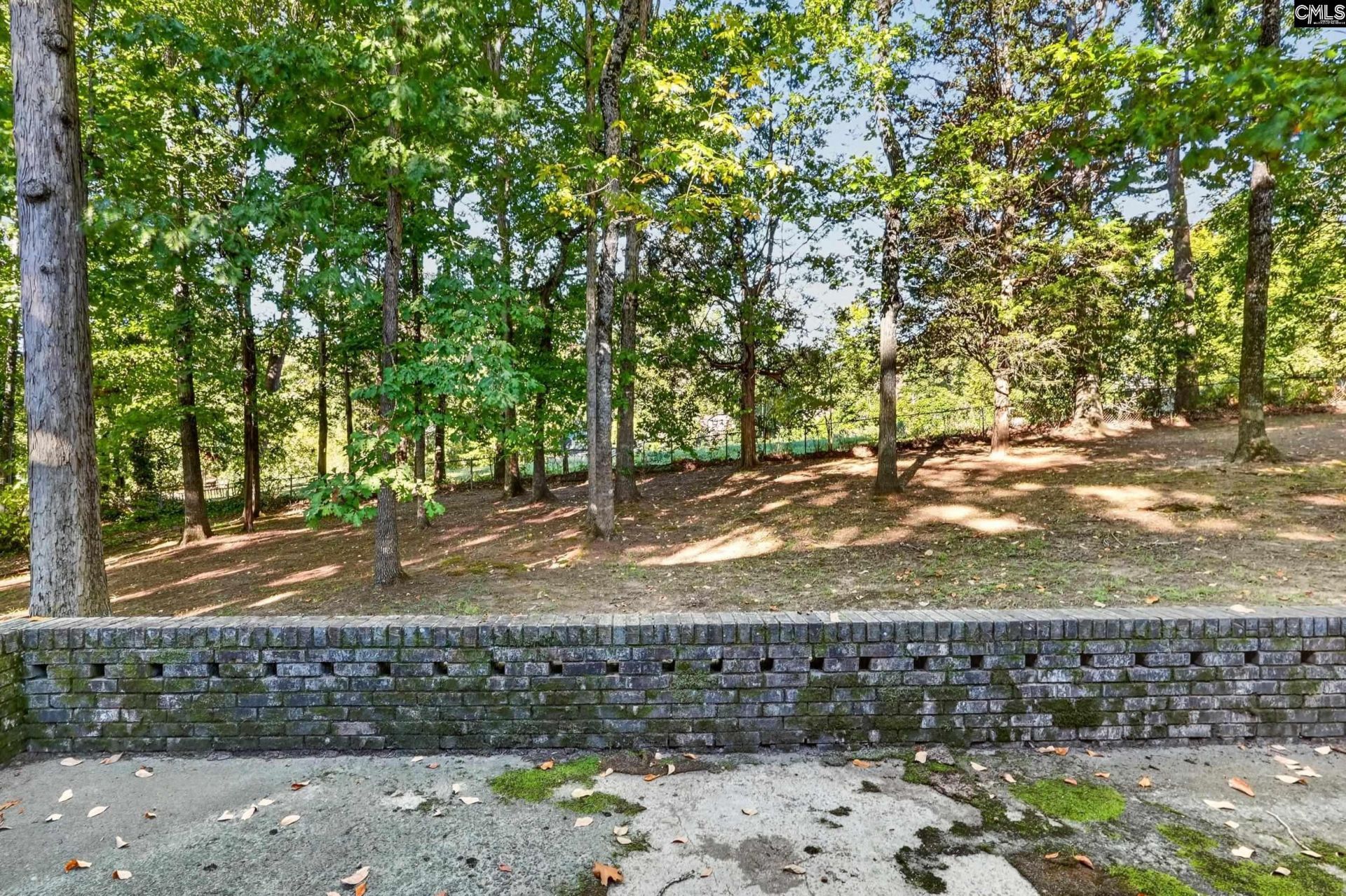 500 White Falls Drive  Photo 40