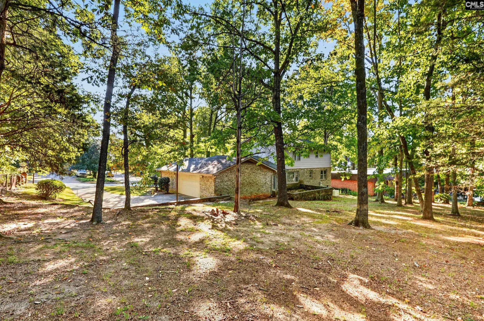 500 White Falls Drive  Photo 43
