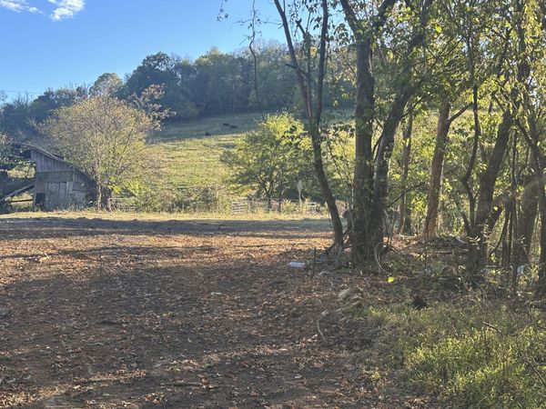 175 Little Salt Lick Rd , Carthage, TN 37030