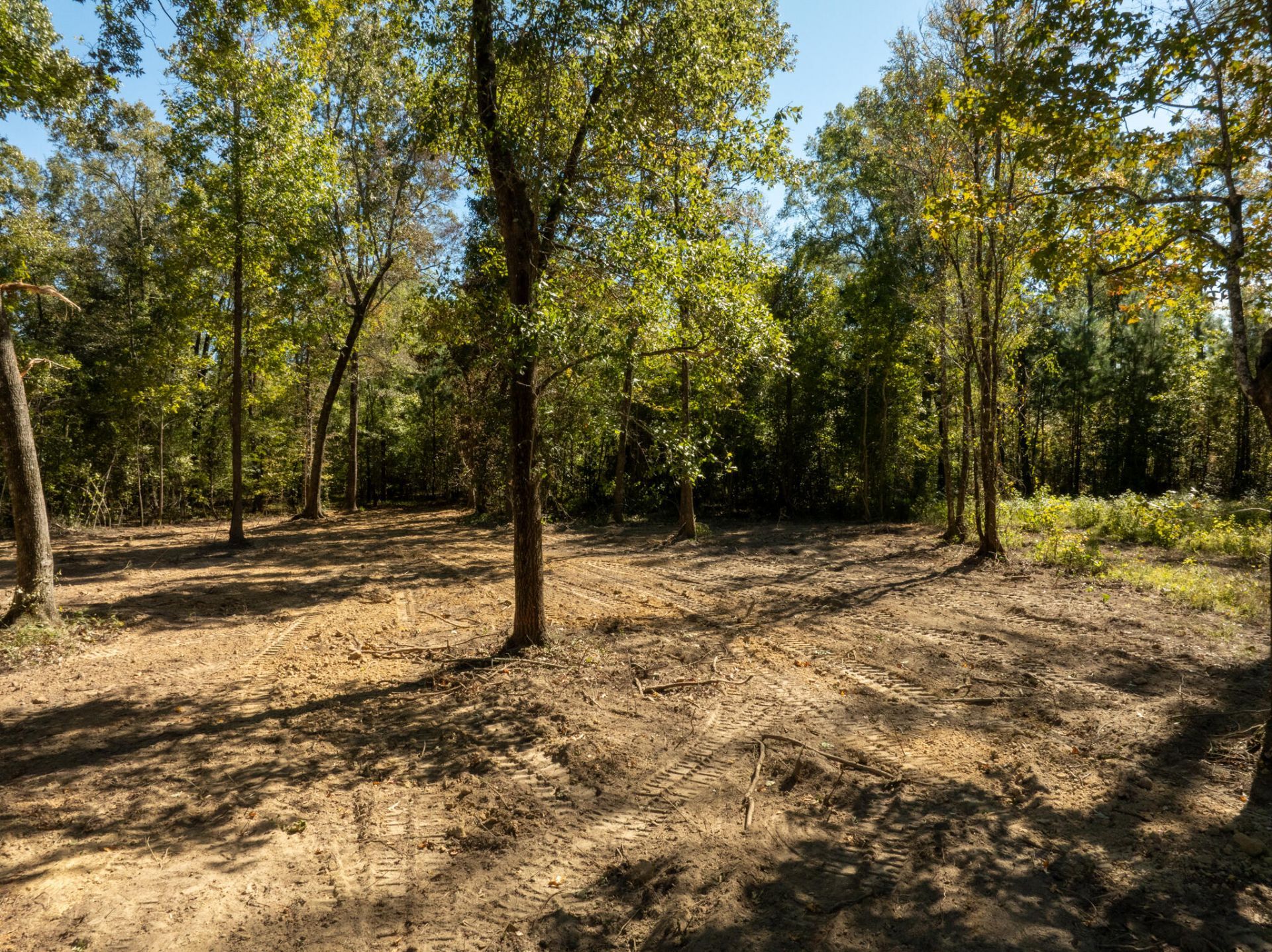 251 Pole Cat Way Photo 32