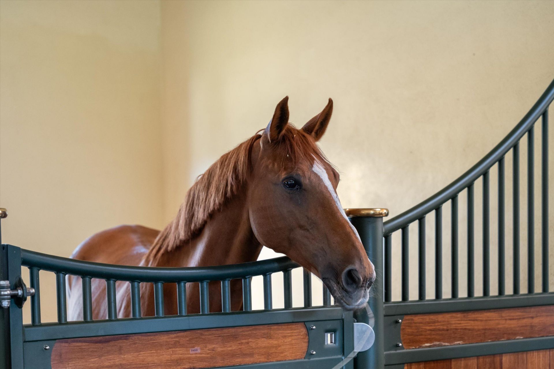 4980 Stables Way, Wellington, FL 33414 Photo