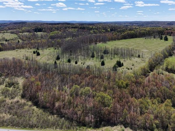 ID .53 & .54 Burski & Miller Road , New Berlin, NY 13411