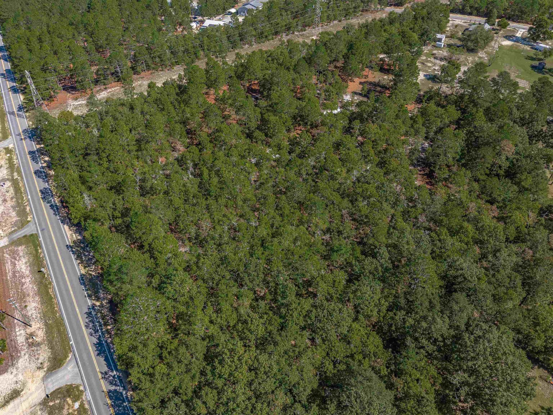 1924 Cassatt Rd  Photo 15