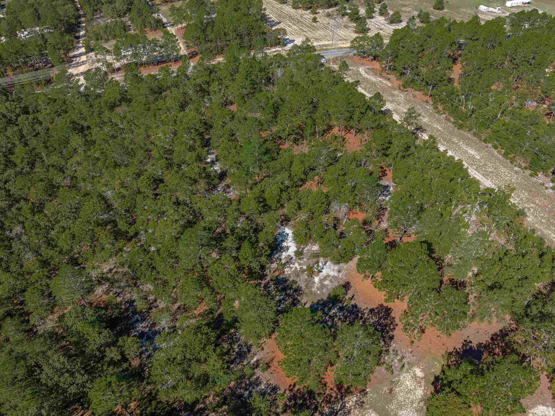 1924 Cassatt Rd  Photo 17