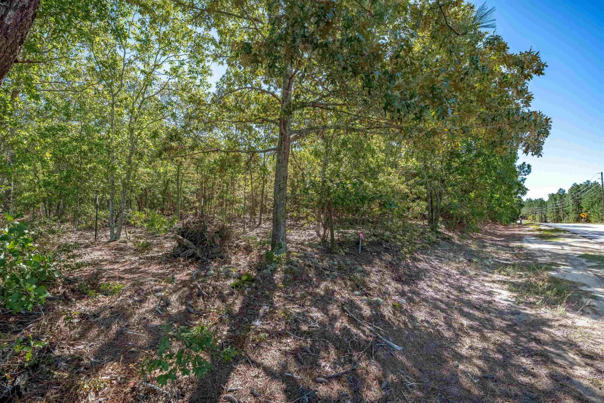 1924 Cassatt Rd  Photo 7