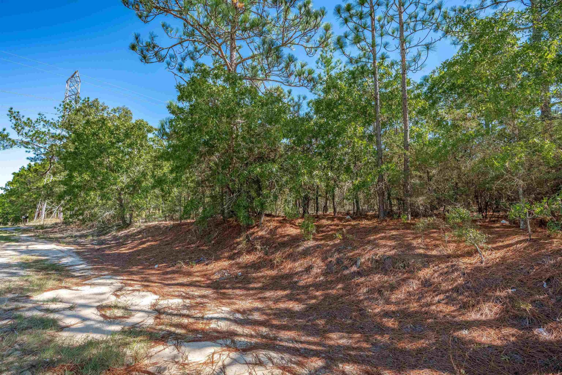 1924 Cassatt Rd  Photo 9