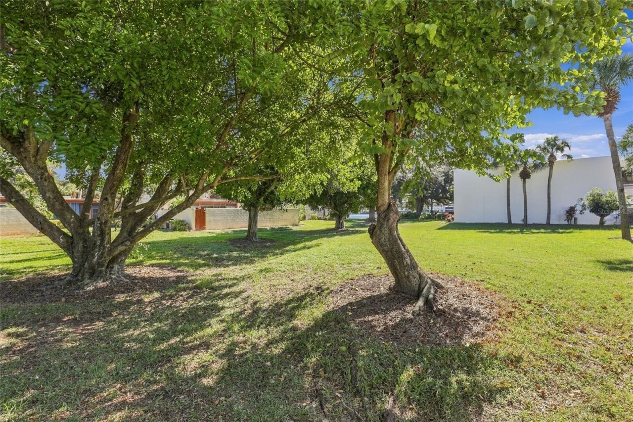 820 Oak Drive, Unit 820, Bradenton, FL 34210 Photo
