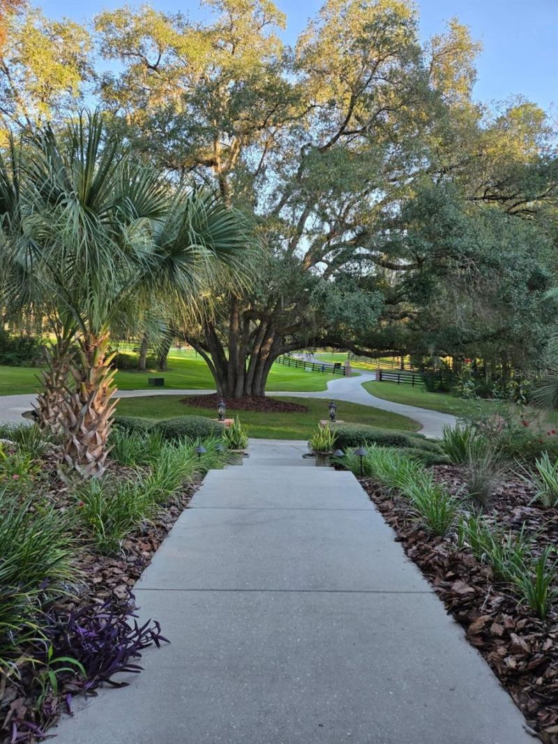 2209 NW 135th Terrace, Gainesville, FL 32606 Photo