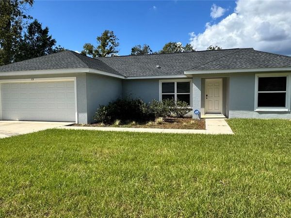 79 GUAVA PLACE DRIVE , OCKLAWAHA, FL 32179