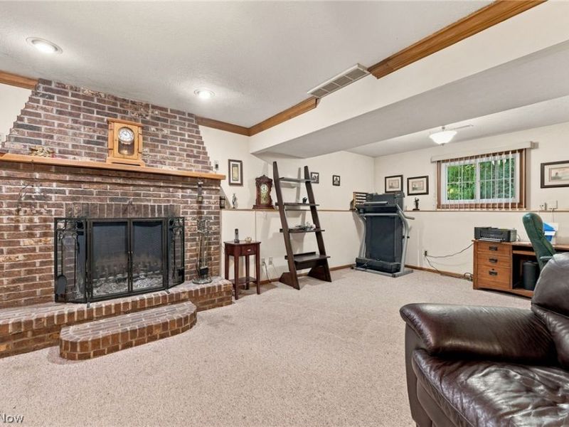 225 Morgan Drive, Painesville Township, OH 44077 Photo 24