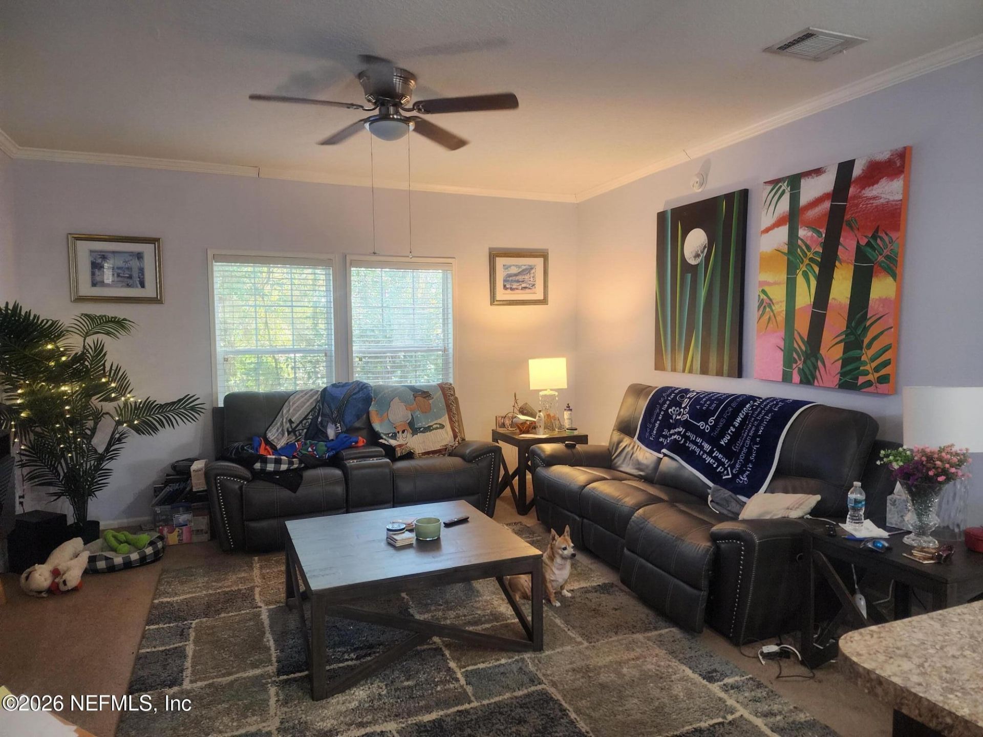 638 Walnut Street, Welaka, FL 32193 Photo