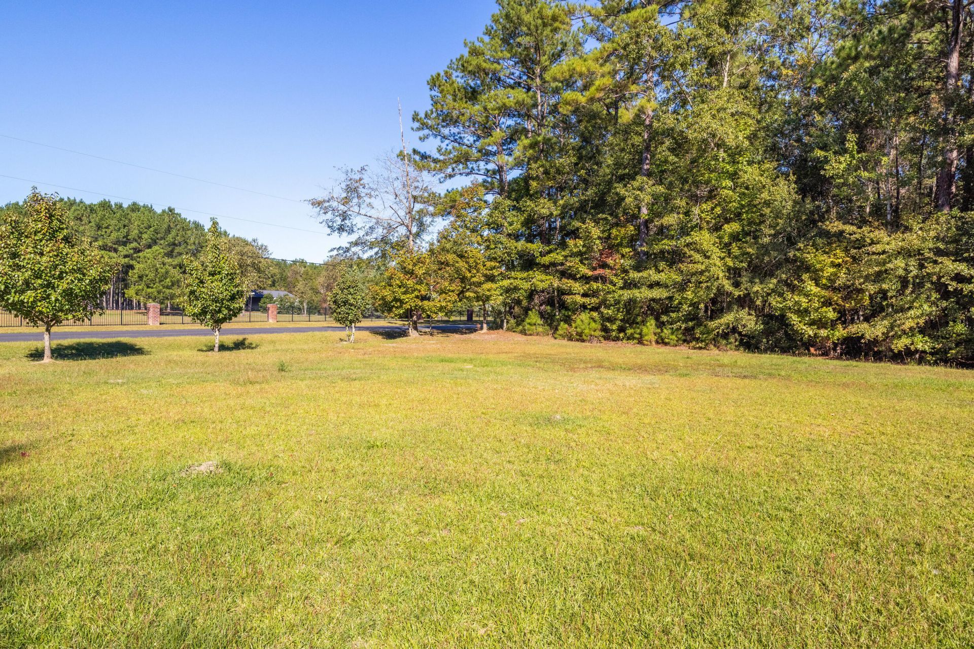 1108 Spiers Circle Photo 24