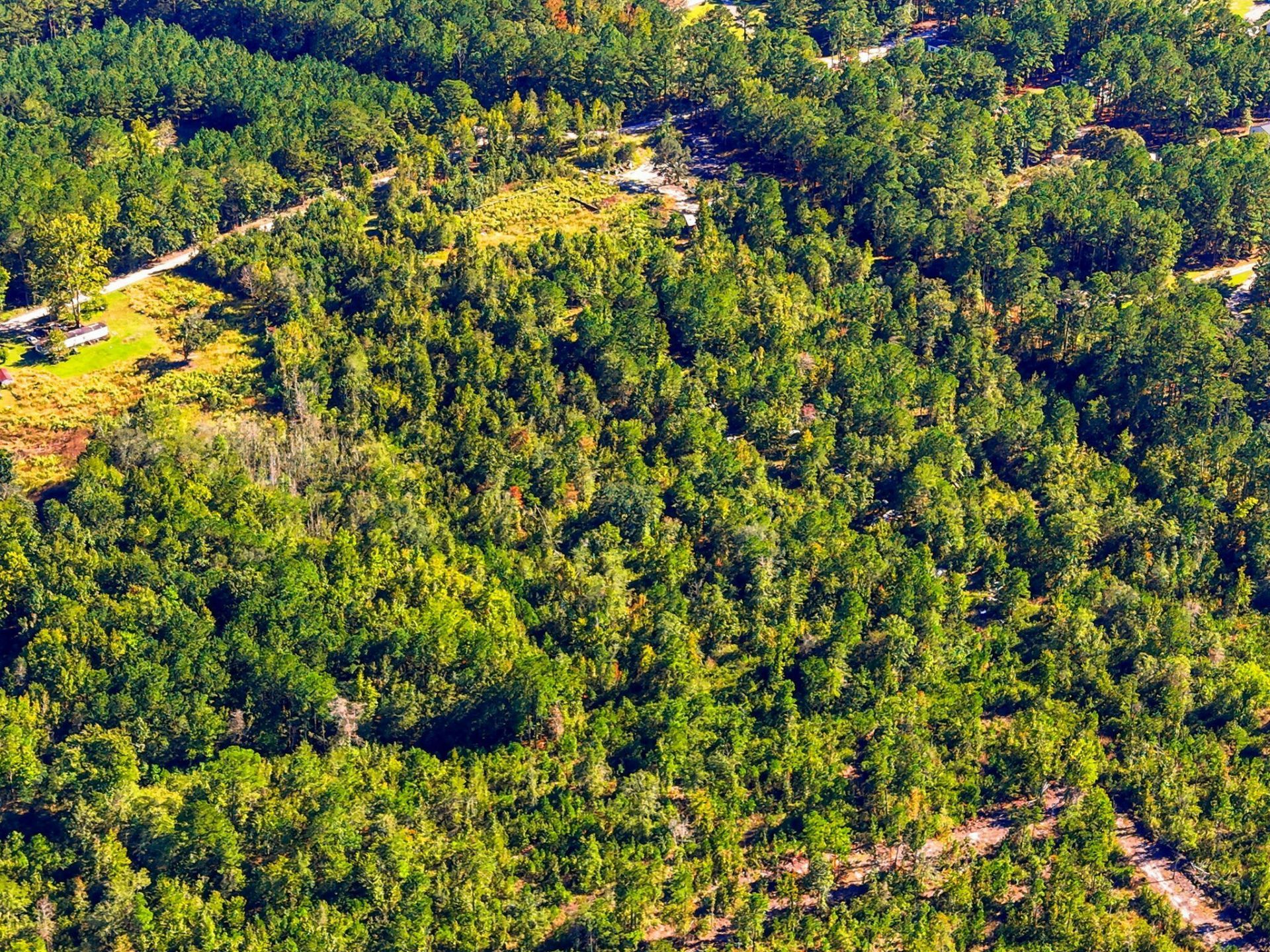 0 Depot Road Photo 9