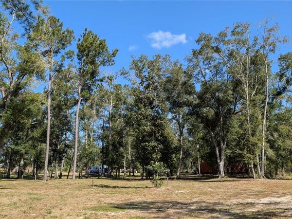 10591 160TH STREET , MC ALPIN, FL 32062